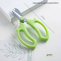 Flower Decoration Pruning Shears Household Garden Shears Knife Stainless Steel (Option: Green 2)