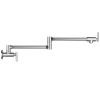 Wall Mount Kitchen Stove Faucet