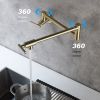 Wall Mount Kitchen Stove Faucet