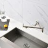 Wall Mount Kitchen Stove Faucet